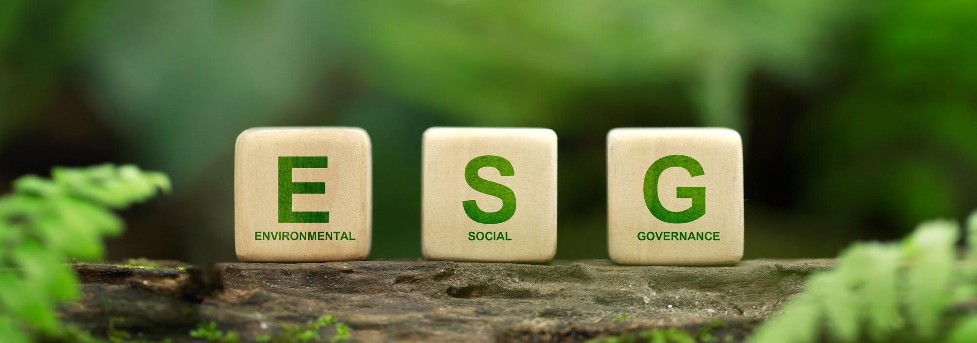 életbe lép az ESG-törvény